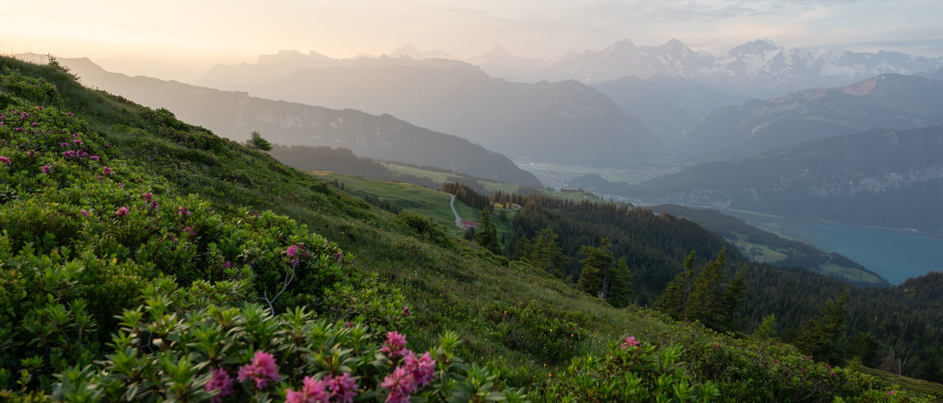 Kathrin_Hoffmann_Niederhorn3
